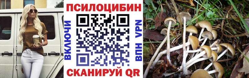 blacksprut ссылка  Сосновка  это формула  закладки  Галлюциногенные грибы MAGIC MUSHROOMS 